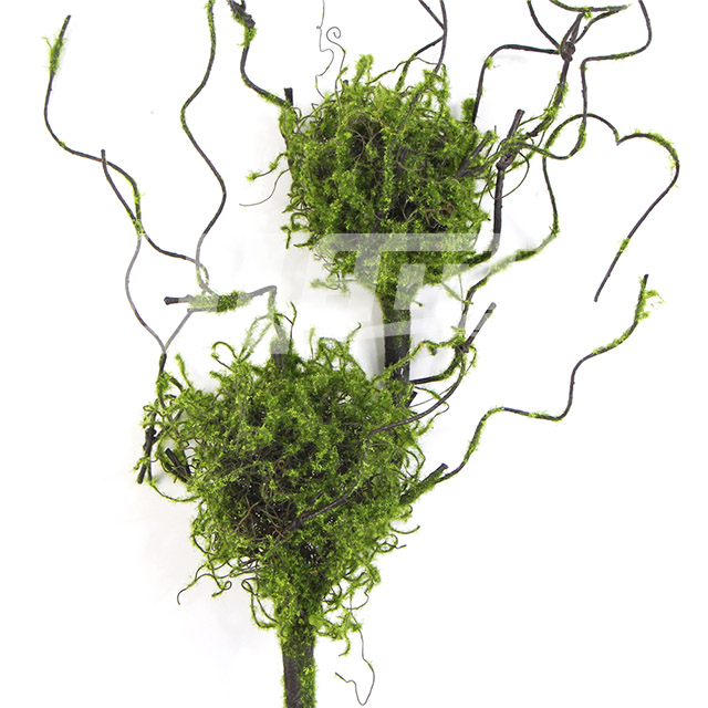 �p�^̦�\�B��