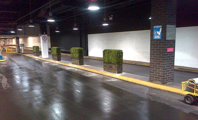 ����ֲ�ﻨ�����