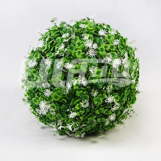 ��ֲ����C30