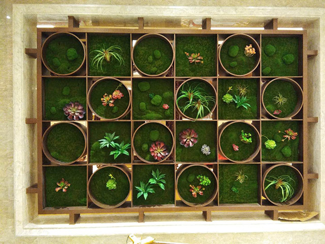 ����Gֲ�쾰