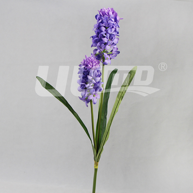 ���滨�L����