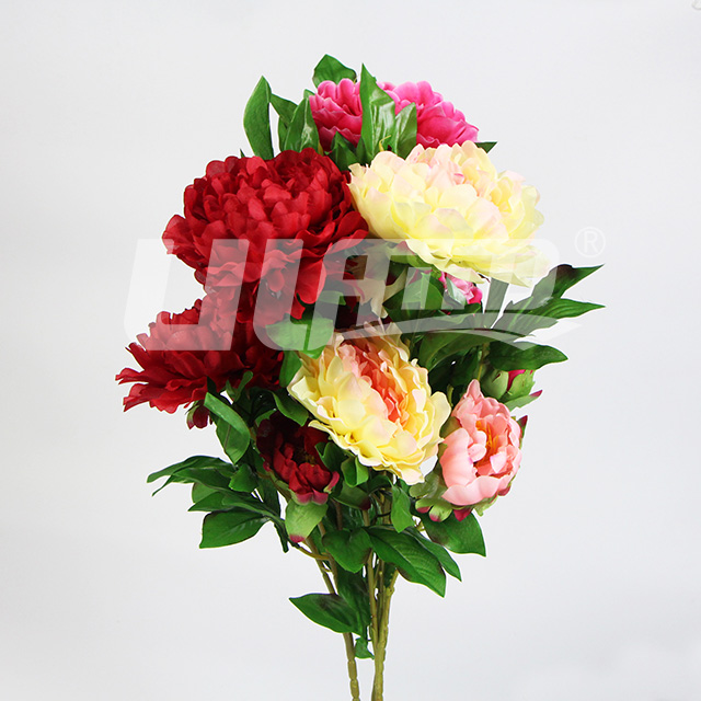 ����ĵ����