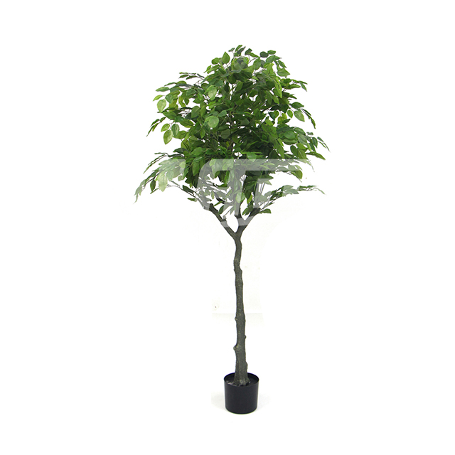 1.5�׸߷���С�䴹�~��