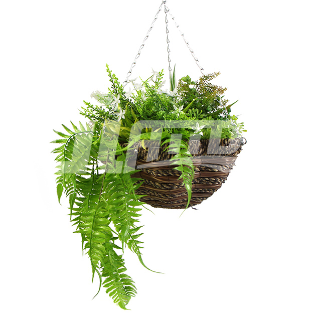 ������ή��ֲ����@