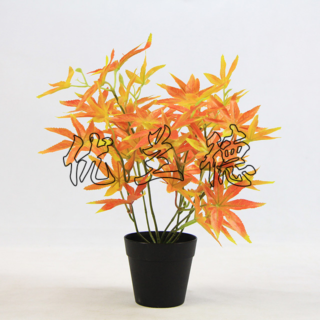 ����С���Լt���~