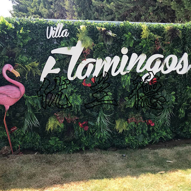 ������滨�݉�