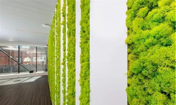 ���w̦�\ֲ�